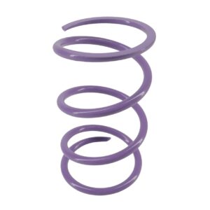 Polaris Secondary Spring